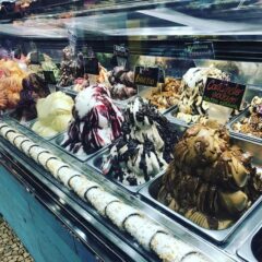 海外での障害者や高齢者への考え方