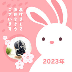 今年も宜しくお願い致します