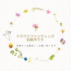 代理寄付を承ります