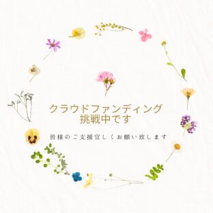 代理寄付を承ります