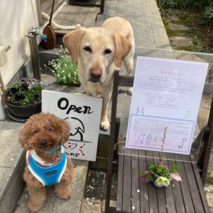 北鎌倉すみれ堂いってきました