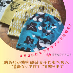 クラウドファンディング挑戦（12日目）