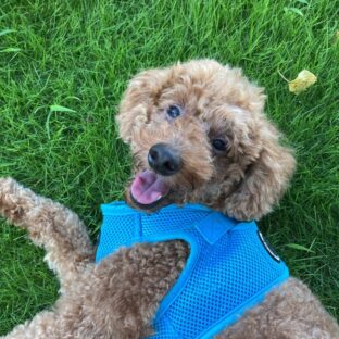 夏休みを頂きました