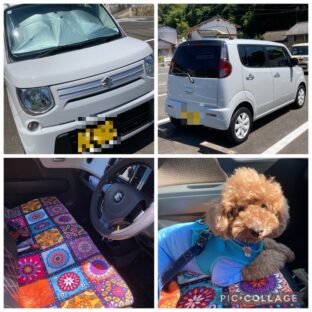 乗り潰すオモチャきましたー‼️