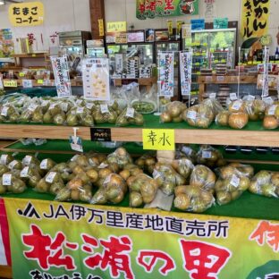 美味しい梨を求めて‼️